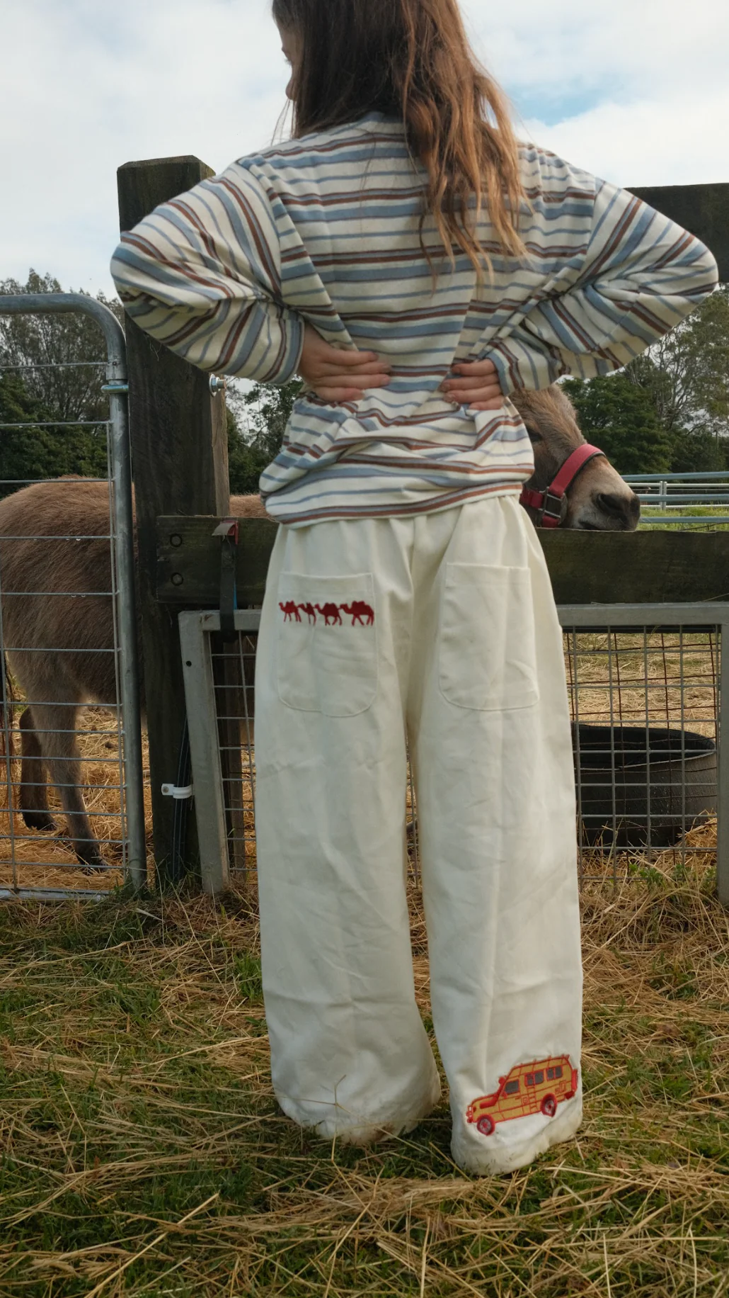Embroidered canvas pant - cruiser patch - Image 6