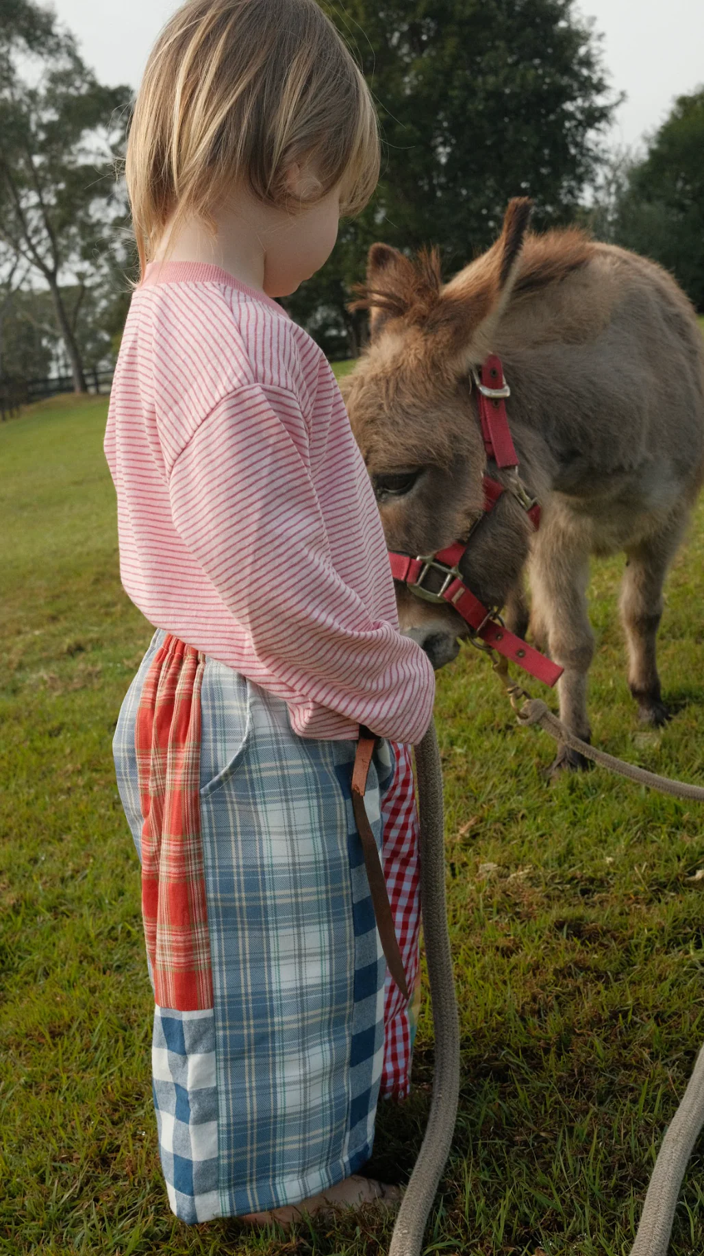 Stripe l/s tee - pink - Image 5